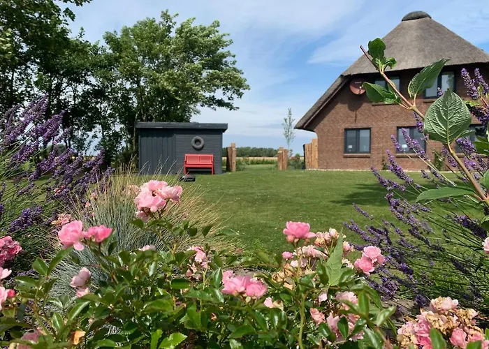 Appartamento Diekkieker